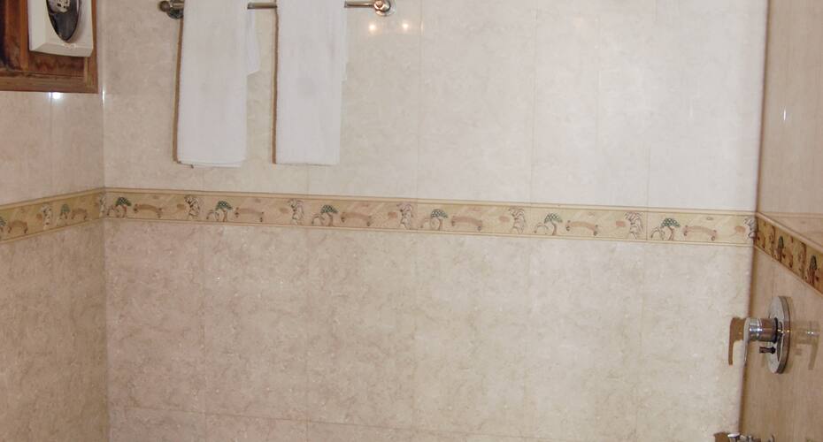 Hotel V M Residency, New Delhi 5